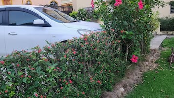 Jardín