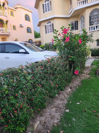 Jardín