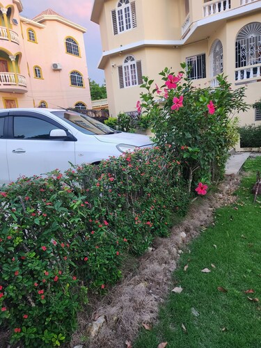 Apartment 379 Hudson Avenue