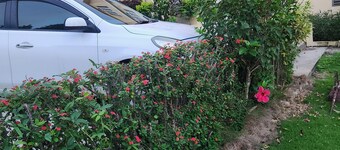 Apartment 379 Hudson Avenue