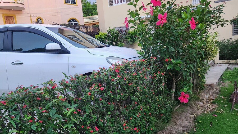 Apartment 379 Hudson Avenue