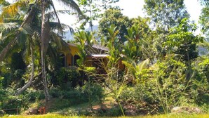 A rural setting with a house surrounded by lush greenery and a rice field. - Sinharaja Serenity Retreat (Deniyaya)