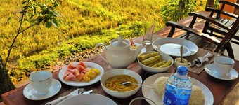 Sinharaja Serenity Retreat