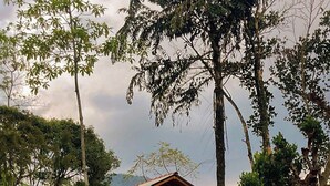 A small house with a porch, surrounded by trees and vegetation. - Sinharaja Serenity Retreat (Deniyaya)