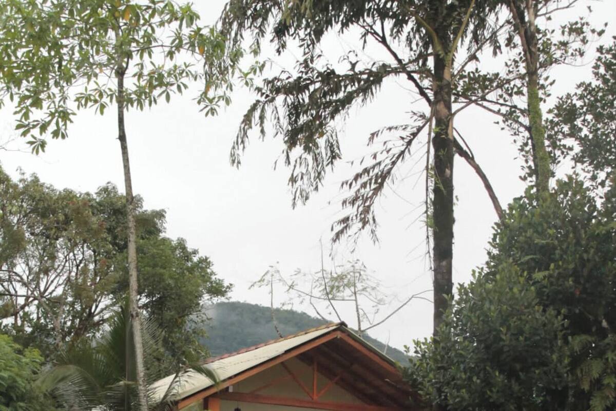 A small, single-story house with a porch, surrounded by trees and vegetation.