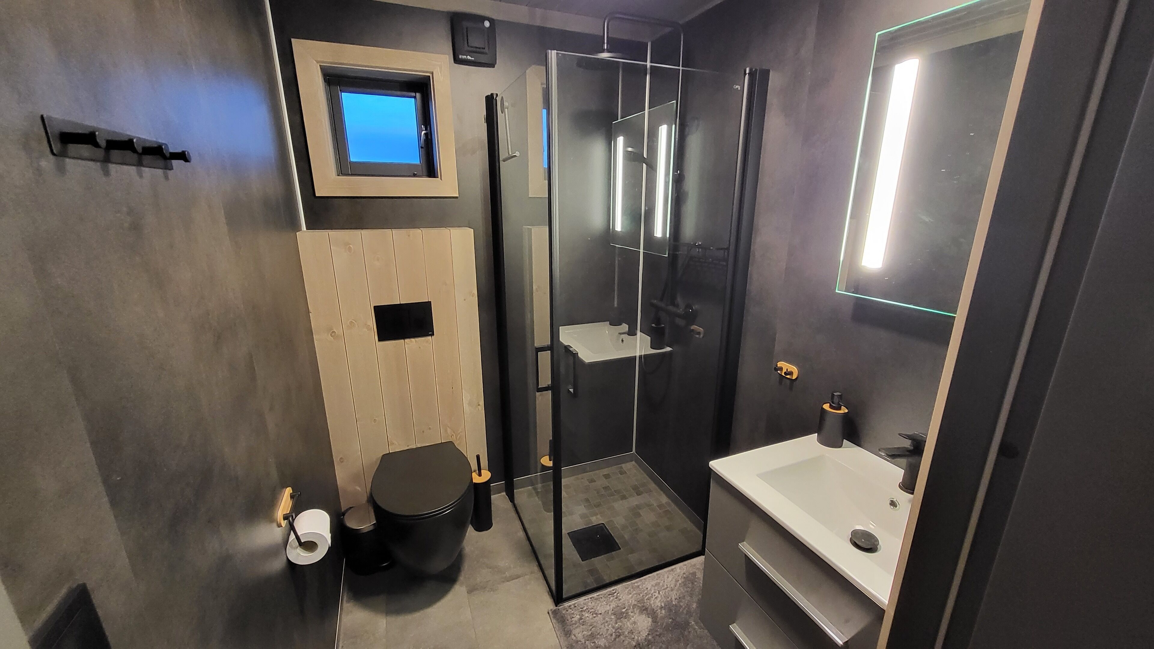 Shower, hair dryer
