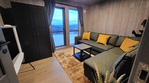 Smart TV, fireplace, video games, books