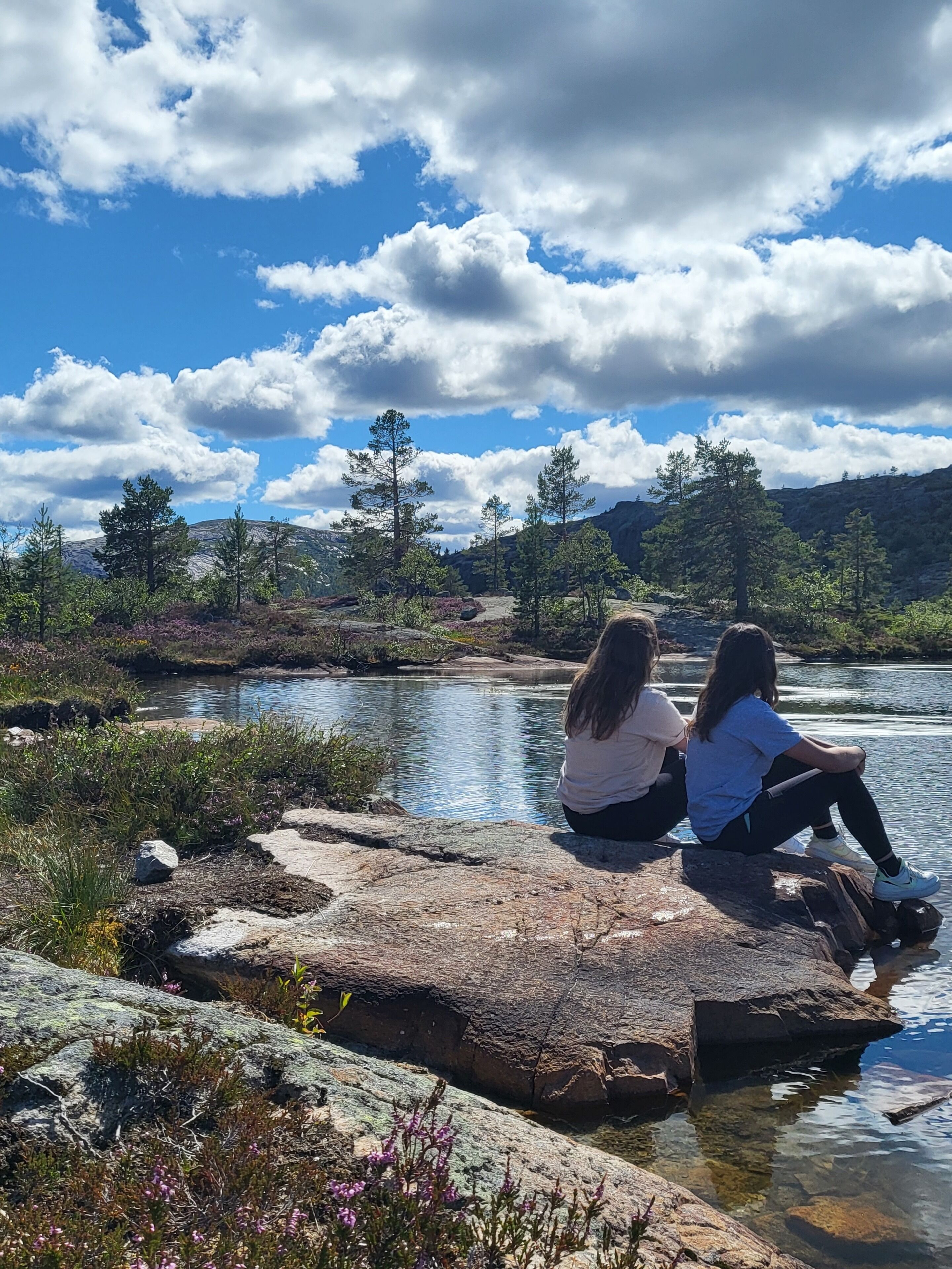 Two people sitting on a rock by a clear stream surrounded by greenery and trees.