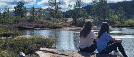 Two people sitting on a rock by a clear stream surrounded by greenery and trees.