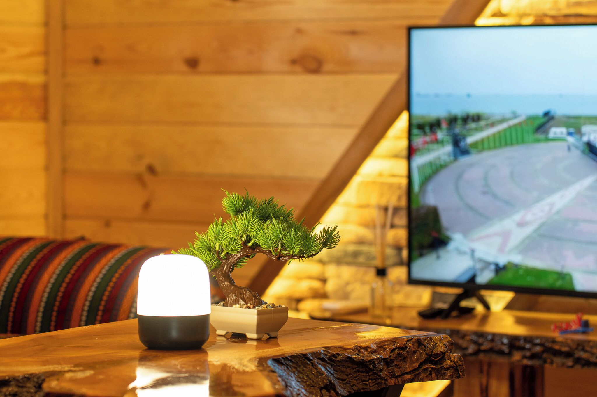 Interior em madeira com uma árvore bonsai, uma lâmpada e uma televisão mostrando uma cena de estrada.