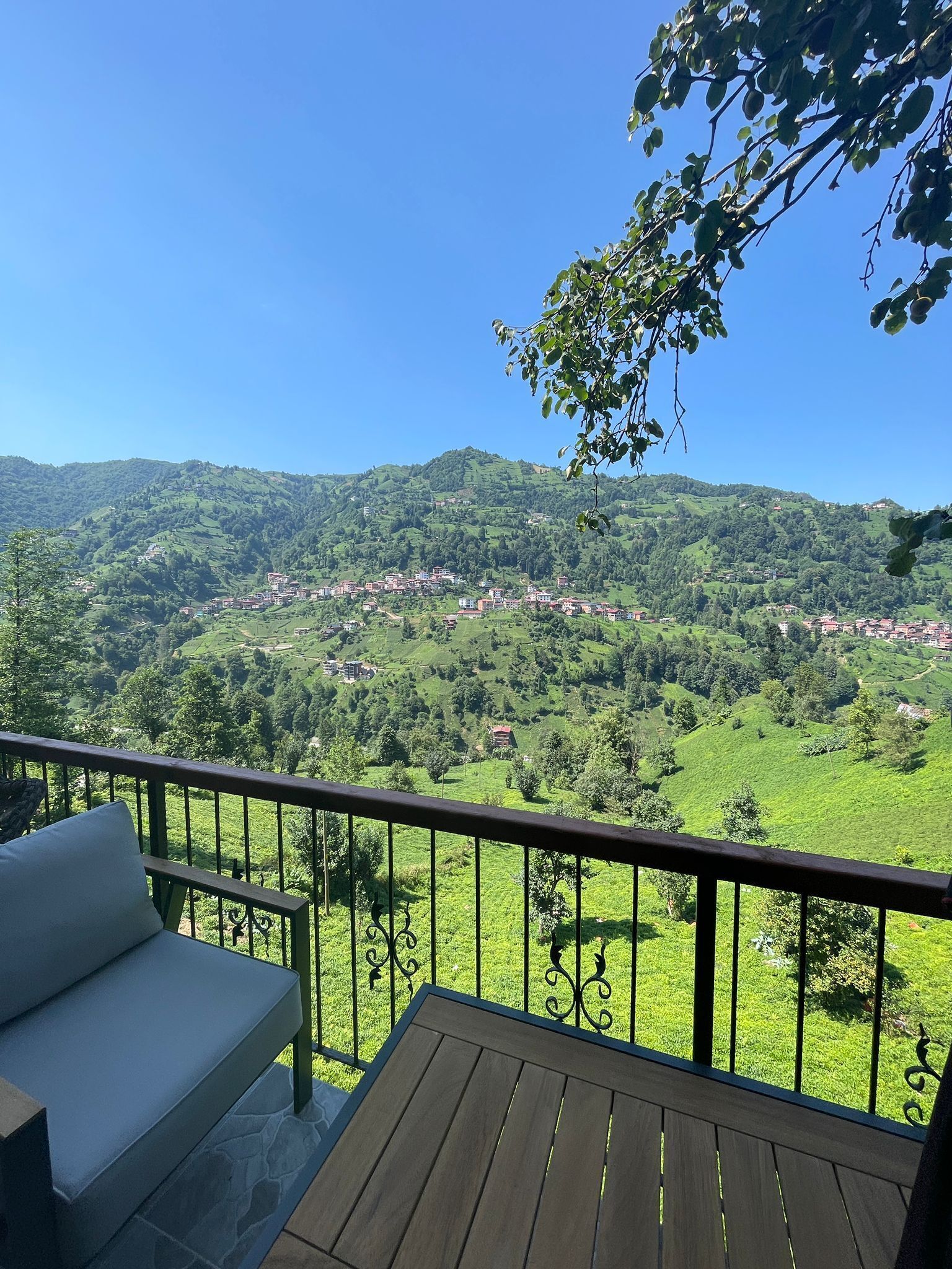 Un balcon donnant sur une vallée verdoyante et un village.