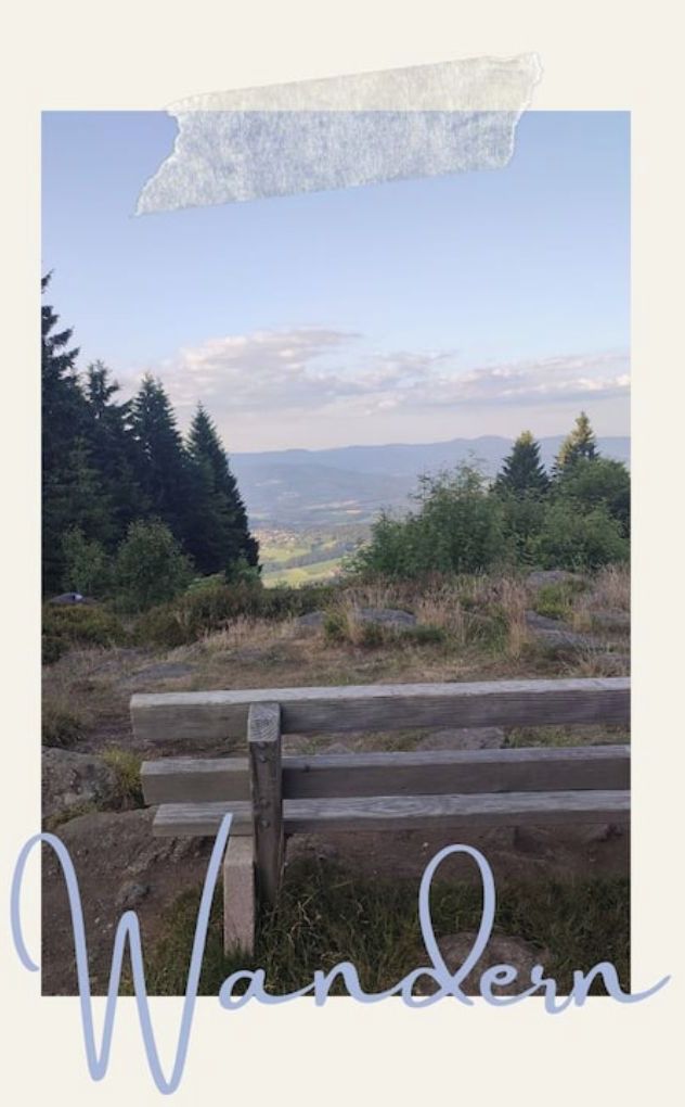 A bench in a natural setting with a view of distant mountains and trees.