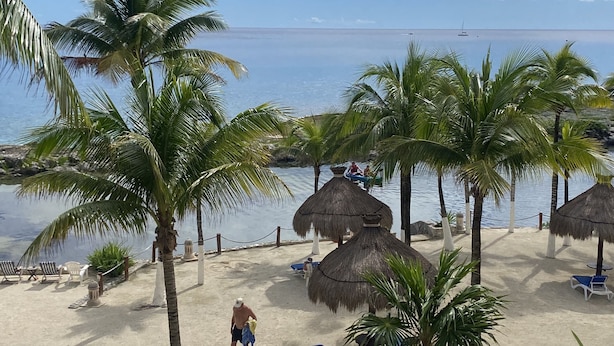 Une plage avec des parasols en chaume, des chaises longues et des palmiers.