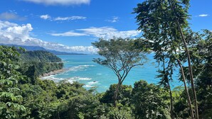 Eine Küstenlandschaft mit dichtem Wald, blauem Himmel und Blick auf das Meer.