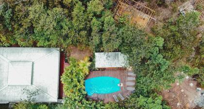 Cabane Insolite Perchée Dans un Jardin Tropical... Le Nid des Colibris