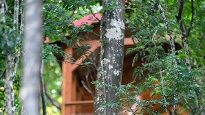 A wooden treehouse with a spiral staircase, surrounded by trees. - Cabane Insolite Perchée Dans un Jardin Tropical... Le Nid des Colibris (Deshaies)