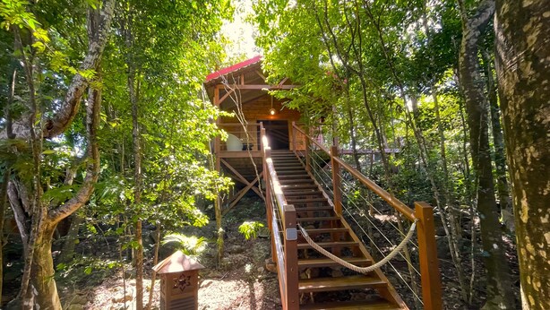 A wooden staircase leading to a treehouse with a red roof, surrounded by dense forest. - Cabane Insolite Perchée Dans un Jardin Tropical... Le Nid des Colibris (Deshaies)