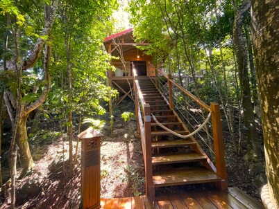 Cabane Insolite Perchée Dans un Jardin Tropical... Le Nid des Colibris