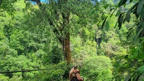 En person suser ned gennem en tæt, grøn skov på en zipline.