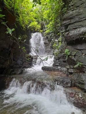 Terrain de l’hébergement 