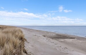 Nära stranden och fiske