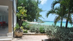 Un patio empedrado con una maceta grande, una palmera y vistas a la playa y al océano.