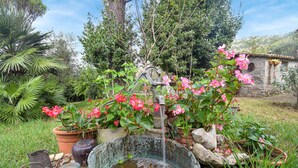 Een tuin met een waterpartij, waaronder een metalen uitloop en een bassin, omgeven door potplanten en bloemen.