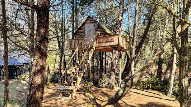 Une cabane dans les arbres avec un escalier en bois et une pancarte sur laquelle on peut lire : « MAISON DE RÊVE ».