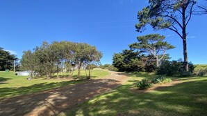 A rural pathway leading to a building surrounded by trees and grass.