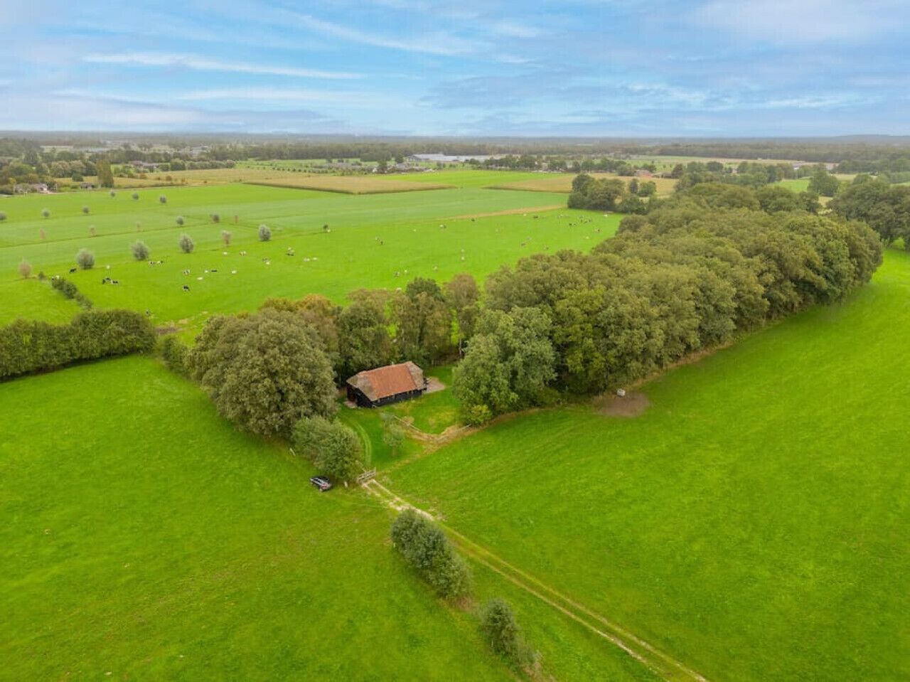 Une vue aérienne d’un paysage rural, avec des champs verdoyants, des arbres dispersés et un petit bâtiment.