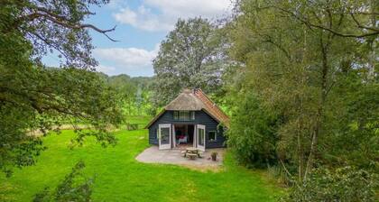 Beautiful detached family house on a large plot