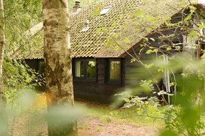 Exterior - Beautiful detached family house on a large plot (Scherpenzeel)