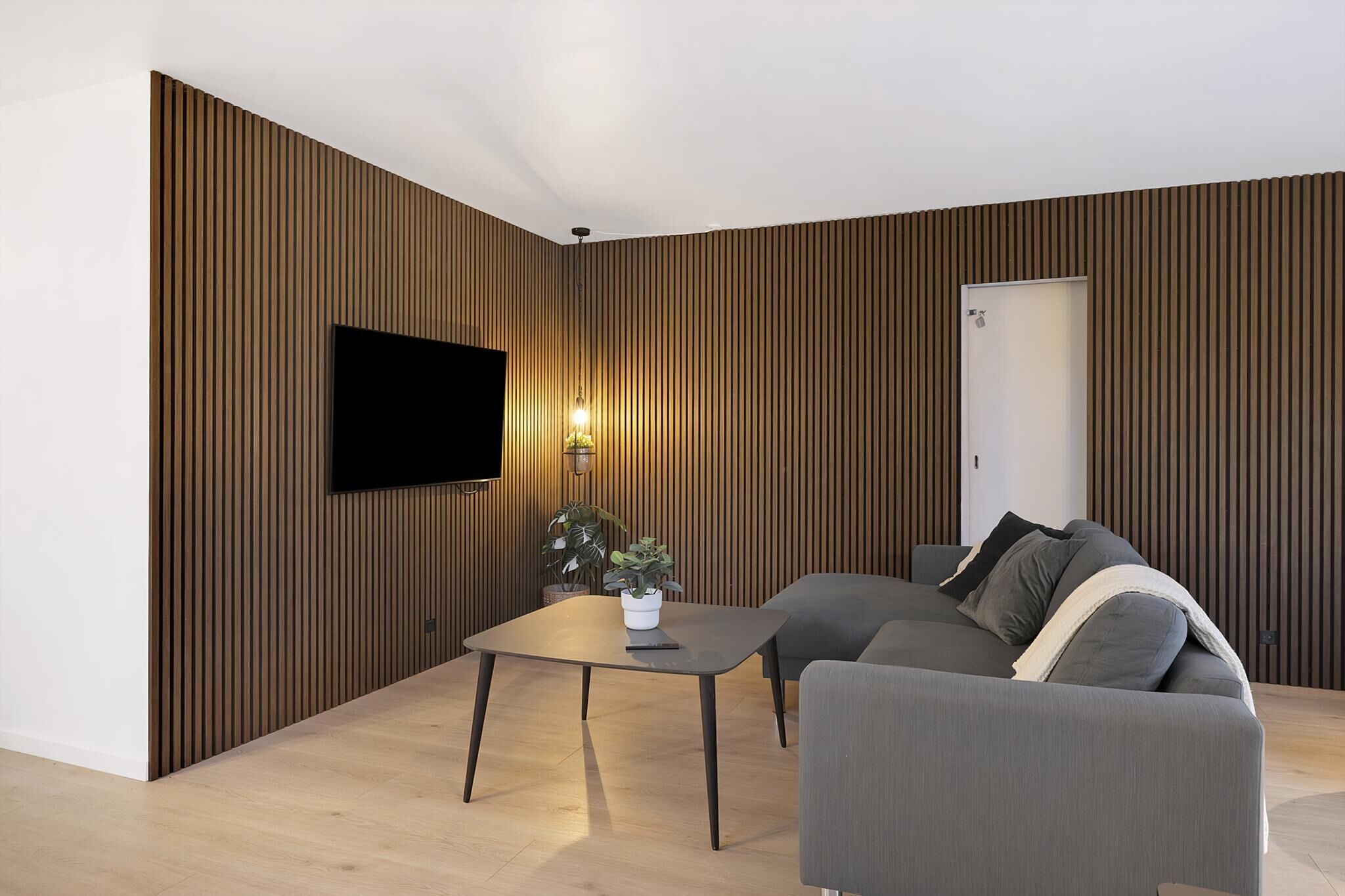 A modern living room with a flat-screen TV, a sofa, a coffee table, and a potted plant.