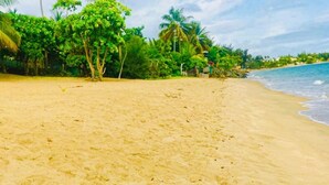 Ein sandiger Strand mit Palmen und blauem Himmel.