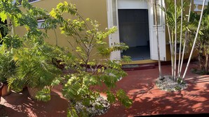 A yellow building with a white door, surrounded by potted plants and trees.