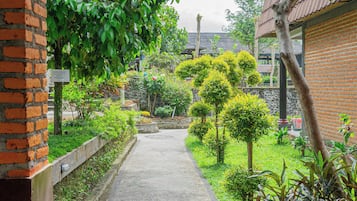 Vườn