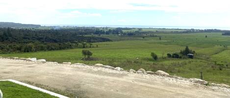 A rural landscape with a dirt road, green fields, scattered trees, and a distant view of a body of water.