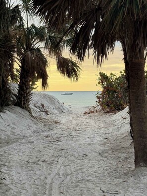 Vlak bij het strand