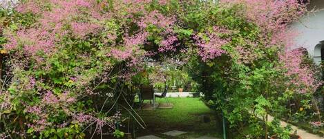 Terrain de lâhĂ©bergement