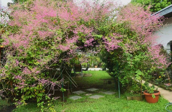 Terrein van de accommodatie