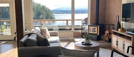 Smart TV, fireplace, books, stereo