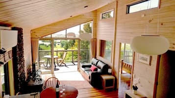 Smart TV, fireplace, DVD player, books