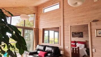 Smart TV, fireplace, DVD player, books