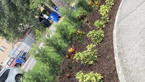 Un jardín ajardinado con diversos arbustos y plantas, un sendero de concreto y un coche estacionado.