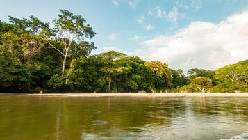 Escape to a serene riverside haven surrounded by lush greenery and a tranquil atmosphere.