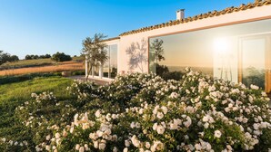 A modern house with large glass windows, a garden with white flowers, and a clear blue sky.