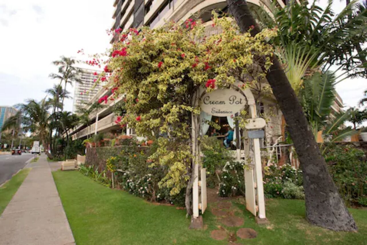 A building with a sign reading "Cream Pot Essence" and a lush garden with various plants and flowers.