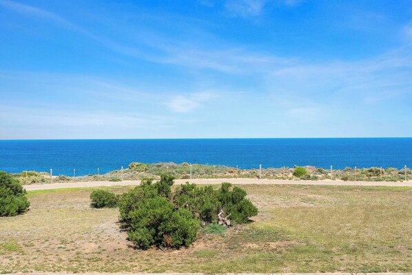 A coastal landscape with a clear view of the ocean, a dirt path, and sparse vegetation.
