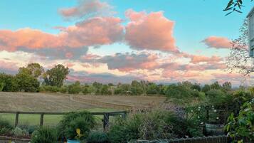 A rural landscape with fields, a wooden fence, and a variety of vegetation.