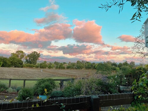 1930s Farmhouse ~ Rescue Animals + Views + Ballard